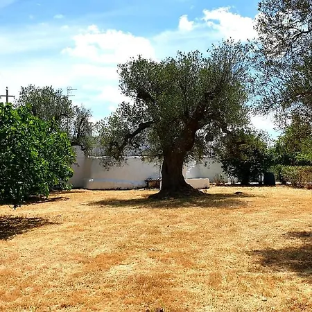 Casa vacanze Trullallegro