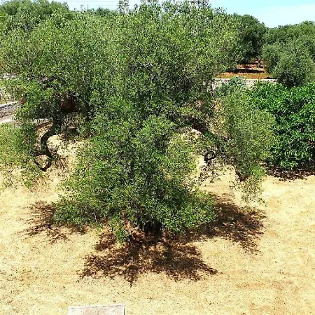 Apartmán Trullallegro Ostuni